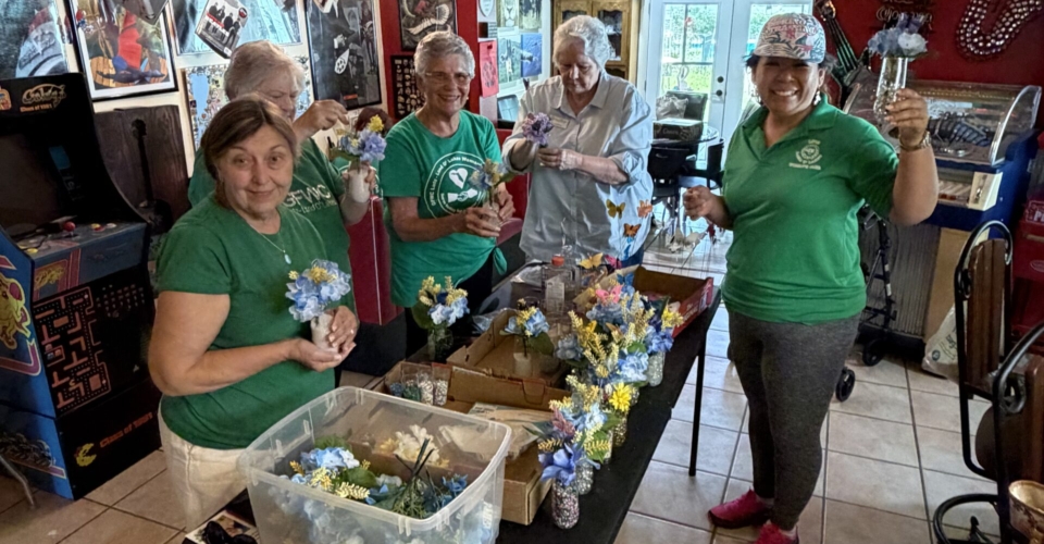 Domestic Violence Members Working on a Project