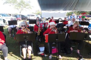 Carrollwood Cultural Orchestra