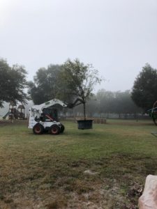 Tree Delivered to Camp