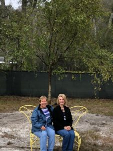 Members Sitting Under Newly Planted Tree