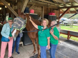 Members Pet Horse at Quantum Leap