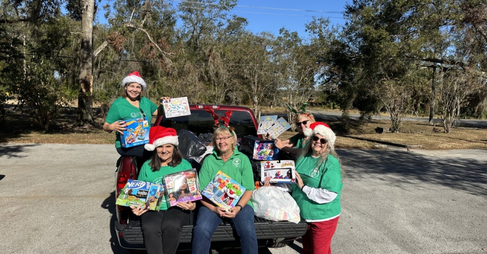 Christmas Delivery to Sexual and Domestic Abuse Shelter