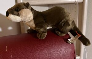 Plush River Otter