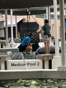 Zookeepers Nursing a Manatee Back to Health.